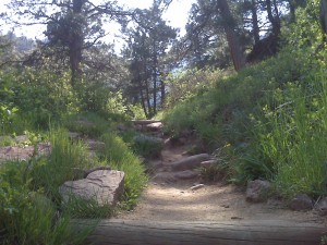 Up the canyon trail Up the canyon trail