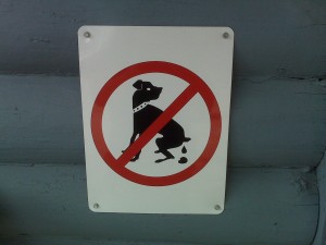 No pooping for dogs in Frisco