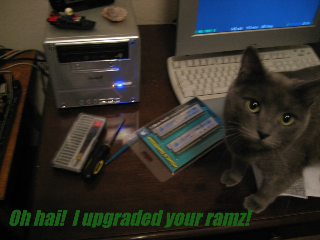 Memory upgrade courtsey of Daphne Memory upgrade courtsey of Daphne